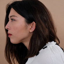 Load image into Gallery viewer, Classic Hook Earrings in Gold Vermeil
